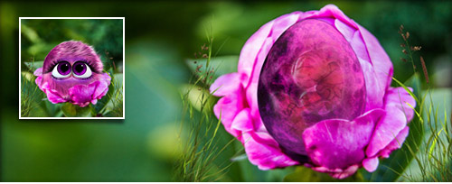 RosenBlümlein Banner.jpg