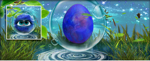 SchwimmTierchen Banner.jpg