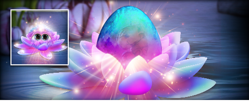 SeeRosenGlitzer Banner.jpg