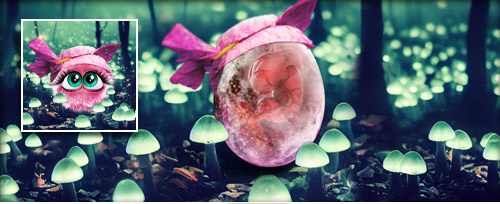 SommerNachtsFairyLady Banner.jpg