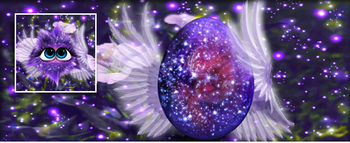 ViolettFunkel Banner.jpg