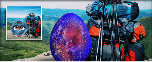 WanderFeeling Banner.jpg