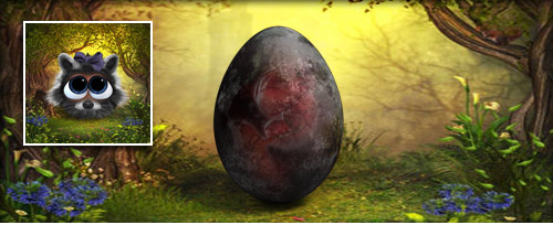 Waschbärli Banner.jpg