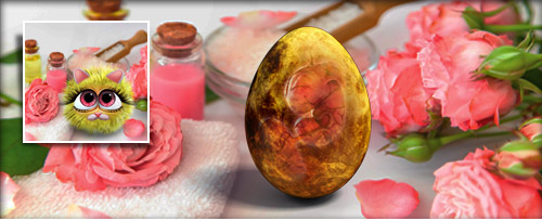 WellnessDuft Banner.jpg