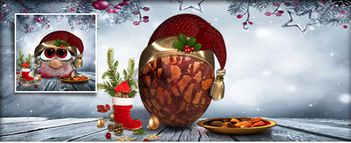 WichtelWeibchen Banner.jpg