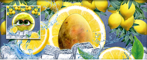 Zitronella Banner.jpg