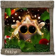 Datei:2. AdventSchokiFleecy schluepf.webp