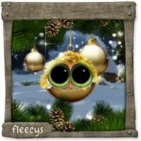 Advent 1 Schlüpfling.jpg