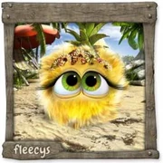 Datei:AnanasFleecy Frau.webp