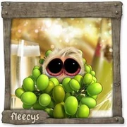 Datei:ChampagnerFleecy schlupf.webp