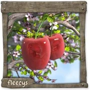 Datei:CherryTwinFleecy Ei.webp