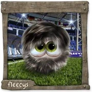 Datei:CoachFleecy Mann.webp