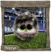 Datei:CoachFleecy Teen.webp