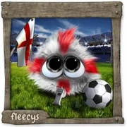 Datei:KickerFleecy -Eng Teen.webp