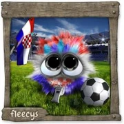 Datei:KickerFleecy -Kroa Teen.webp