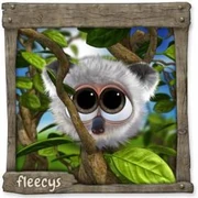 Datei:KoalabärFleecy Teen.webp