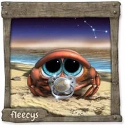 Datei:KrebsFleecy (3).webp