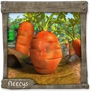 Datei:Möhre Ei.webp