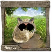 Datei:MaineCoonFleecy (2).webp