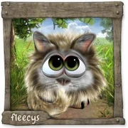 Datei:MaineCoonFleecy (5).webp