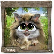 Datei:MaineCoonFleecy (6).webp