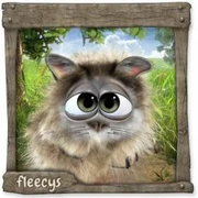 Datei:MaineCoonFleecy (7).webp