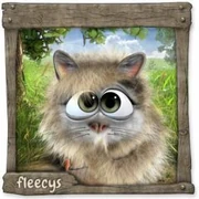 Datei:MaineCoonFleecy (8).webp