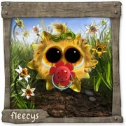 Datei:NarzissenFleecy Baby.webp