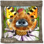 Datei:Schmetterling Opa.webp