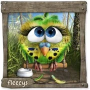 Datei:TschilpFleecy Frau.webp