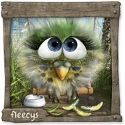 Datei:TschilpFleecy Uroma.webp