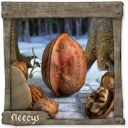 Datei:Walnuss Ei.webp