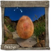 Datei:WidderFleecy (1).webp