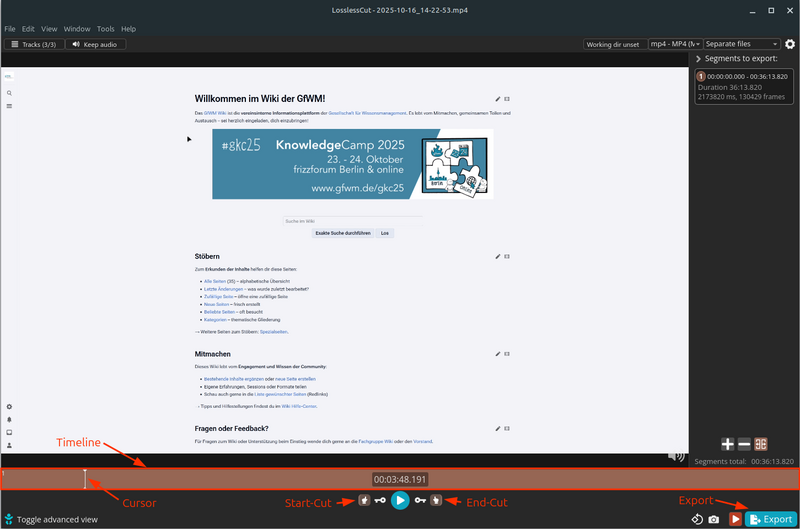 Datei:LosslessCut Interface.png