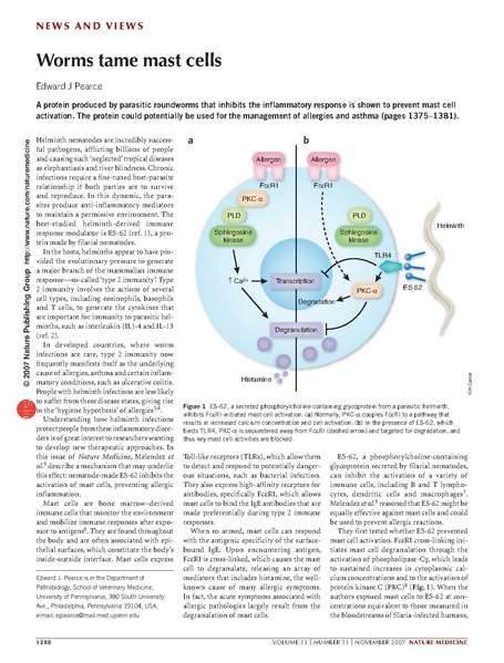 File:Worms tame mast cells.pdf