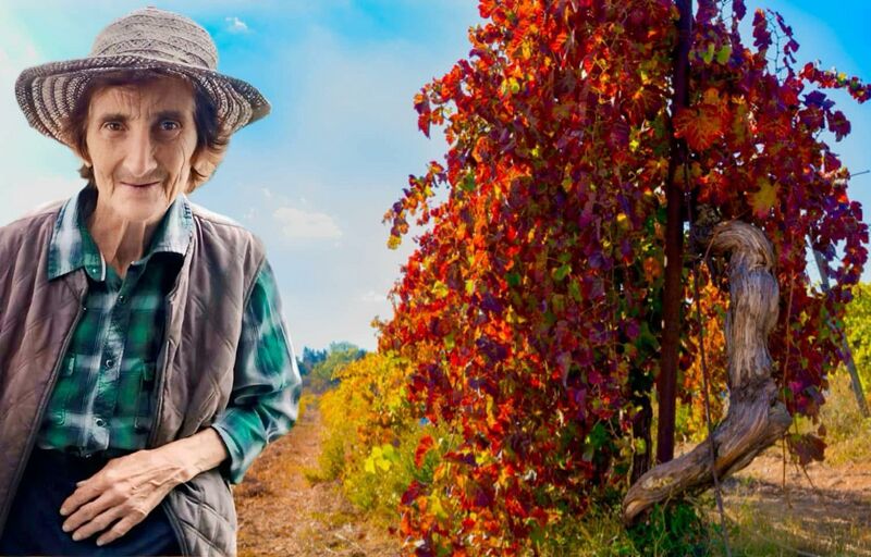 ფაილი:ეთერ ამონაშვილი.jpg