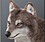 Brauner Wolf.png
