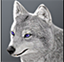 Weißer Wolf.png