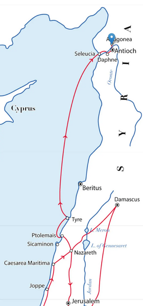 File:Antigonea.webp
