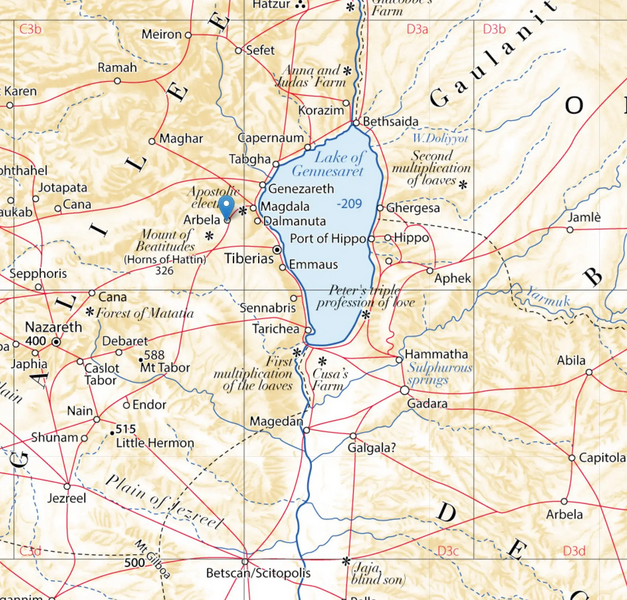 File:ArbelaGal.webp