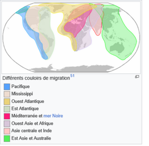 main migratory routes