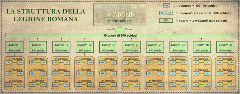 File:LegioX-Organisation.png