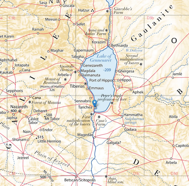 File:Tarichea.webp