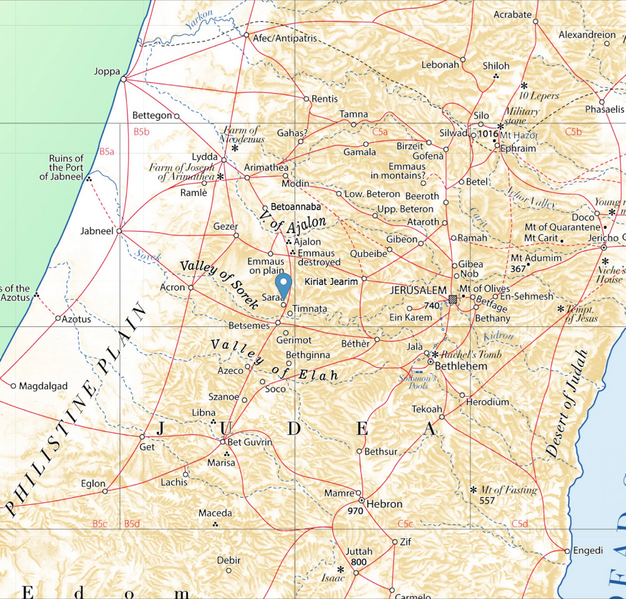 File:Zorah.webp