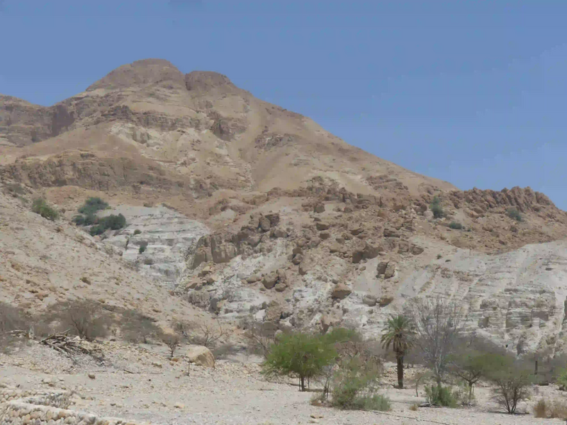 Fichier:Ein geddi - wadi david.webp