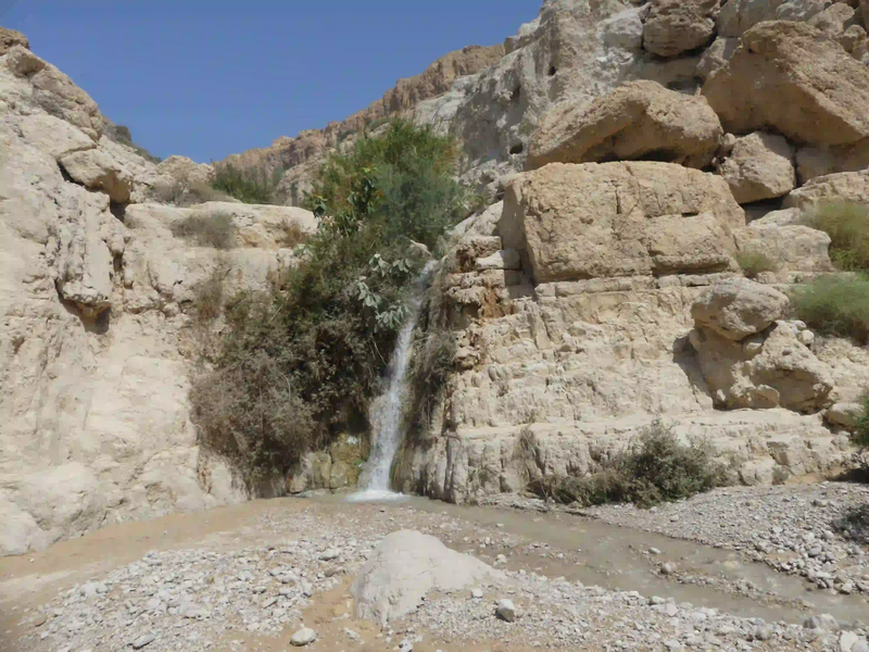 Fichier:Wadi david - petite cascade.webp