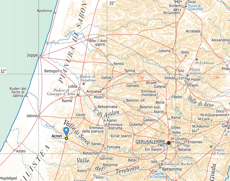 File:Acron.webp
