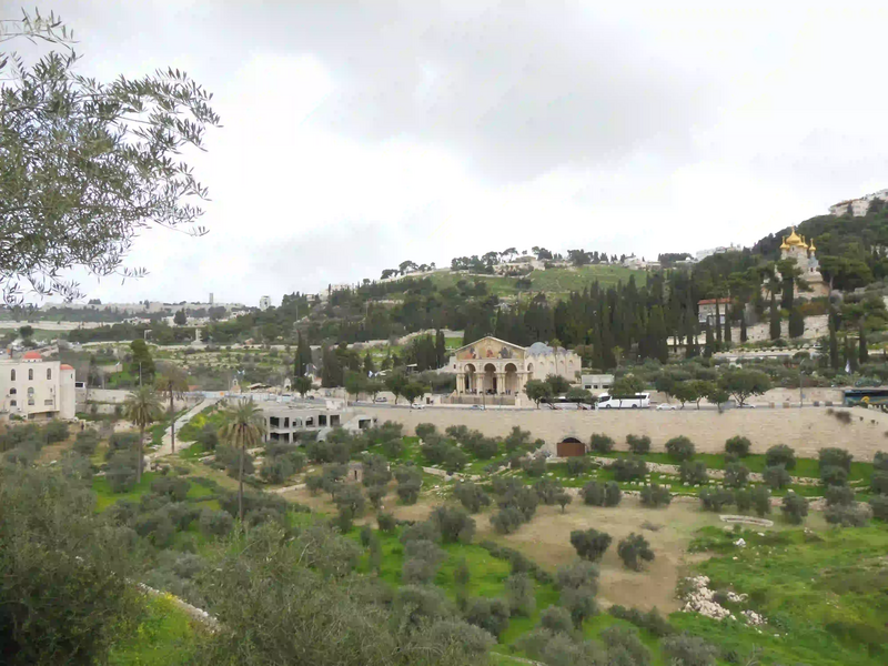 File:Gethsémani et vallée du Cédron.webp