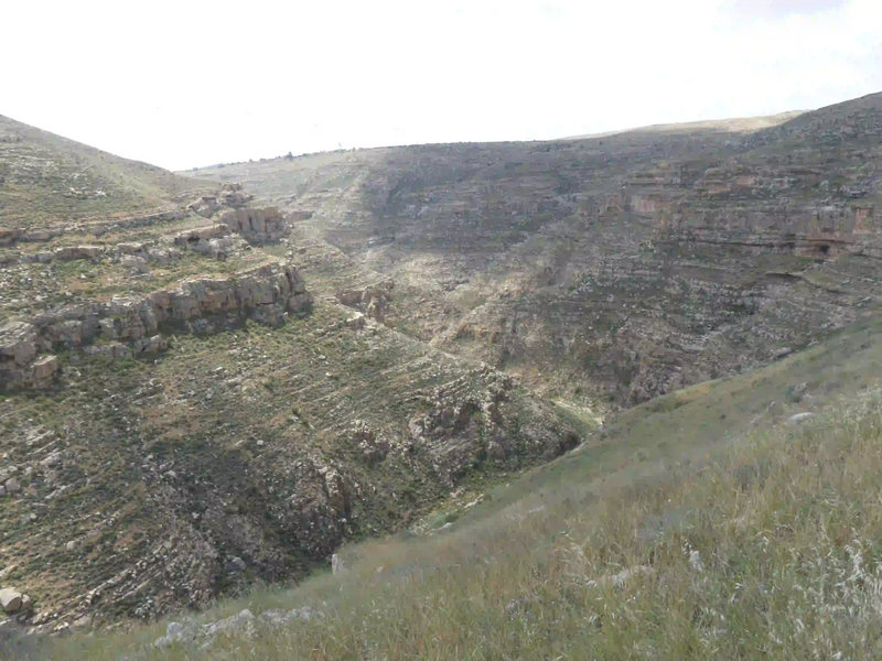 File:Tecoa - Wadi kariton 2.webp